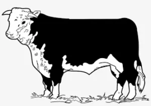 Beef Logo